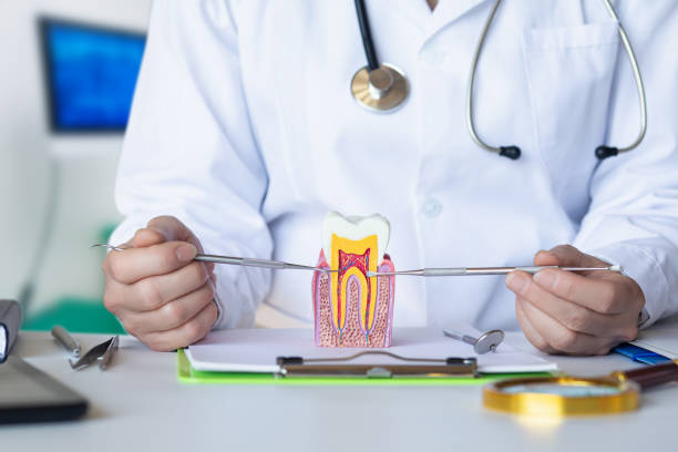 Best Emergency Tooth Extraction in Crete, NE